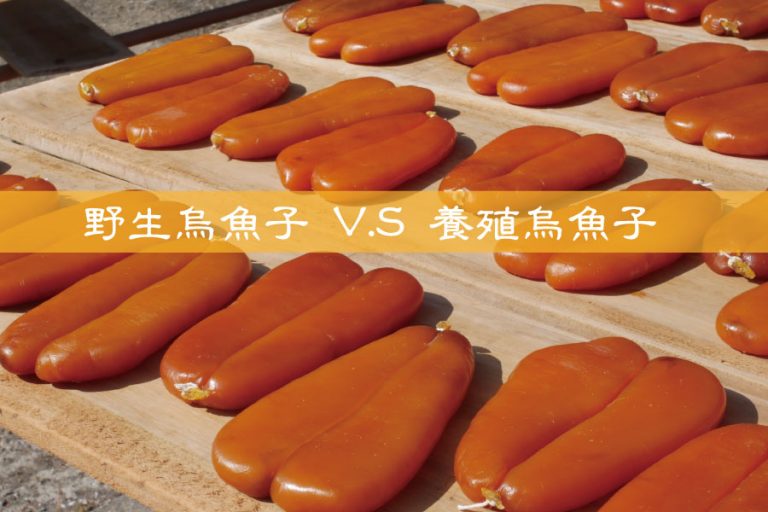 野生烏魚子 與 養殖烏魚子 差別是? 10 野生烏魚子 與 養殖烏魚子 差別是?