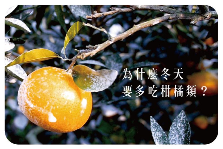 冬天就是要吃【柳丁、柑橘類】讓身體有效鎖水,才可以對抗乾燥! 18 冬天就是要吃【柳丁、柑橘類】讓身體有效鎖水,才可以對抗乾燥!