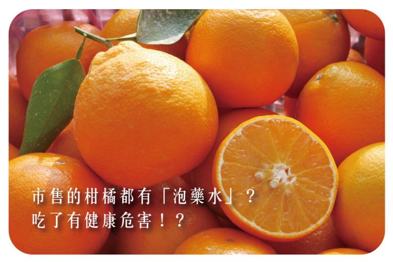 市售的柑橘都有「泡藥水」? 吃了有健康危害!? 17 市售的柑橘都有「泡藥水」? 吃了有健康危害!?