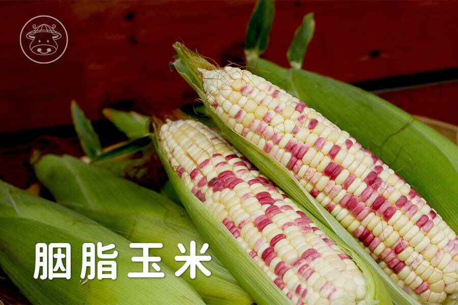 胭脂玉米/彩虹玉米/雙色玉米
