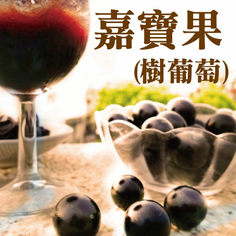 嘉寶果《樹葡萄》最適合釀酒釀醋的營養珍寶 26 嘉寶果《樹葡萄》最適合釀酒釀醋的營養珍寶