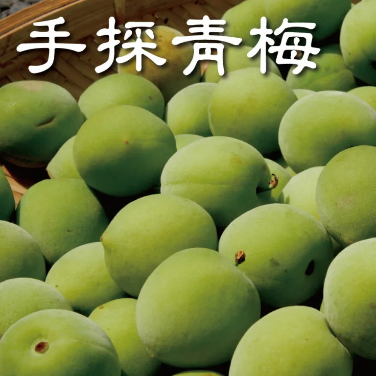 山區 《新鮮 手採青梅、黃梅》預購才有保留 滿足您的手作魂 14 山區 《新鮮 手採青梅、黃梅》預購才有保留 滿足您的手作魂