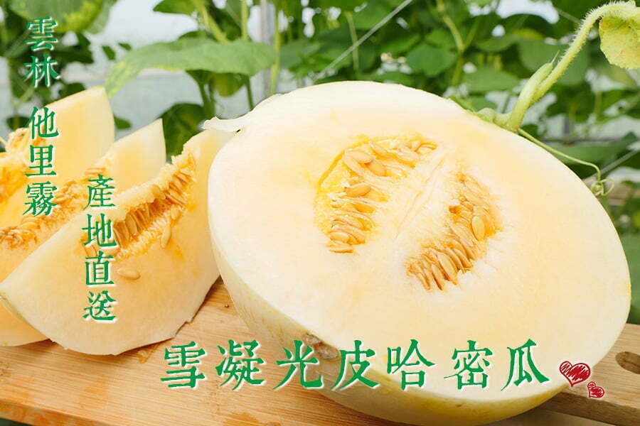light skin sweet melon03