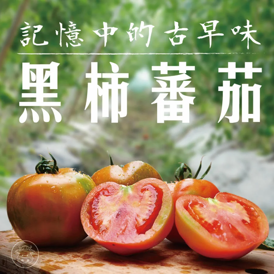 oki900