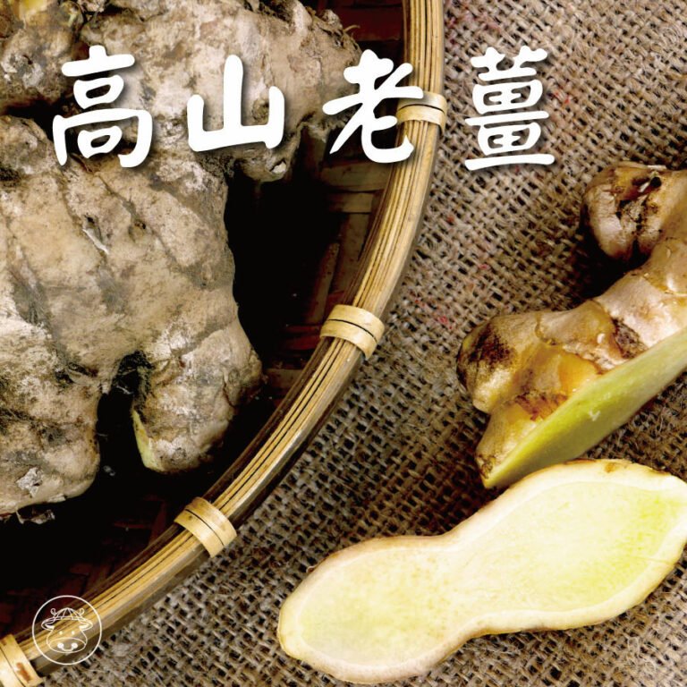 深山瑰寶 《山珍老薑&竹薑 》要多少挖多少