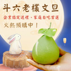 斗六文旦柚子