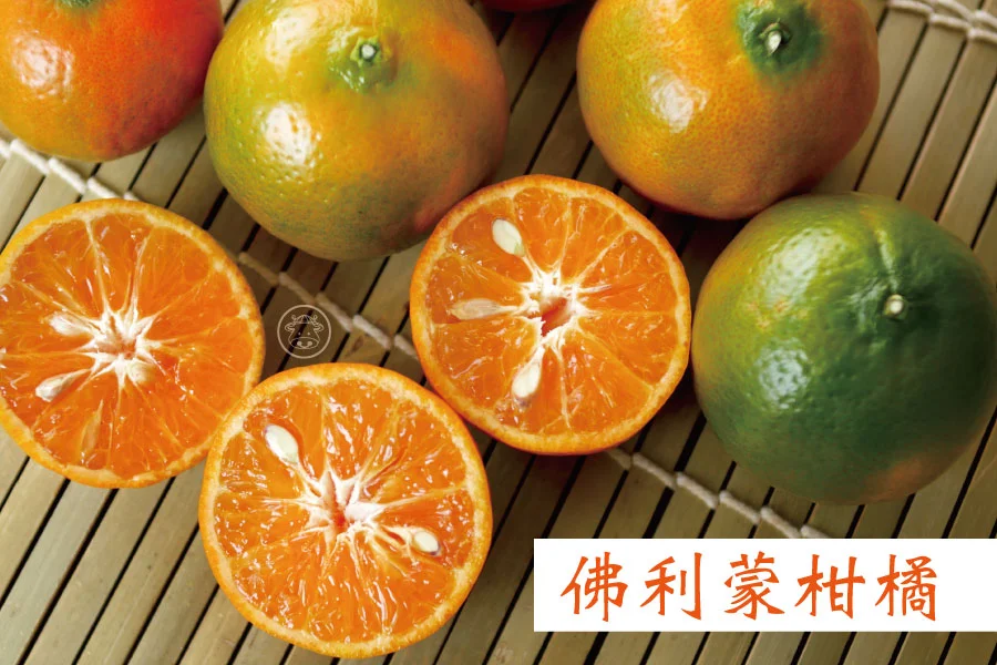 古坑《佛利蒙柑橘》酸甜比例層次多多 2種風味一次滿足 1 佛利蒙柑橘