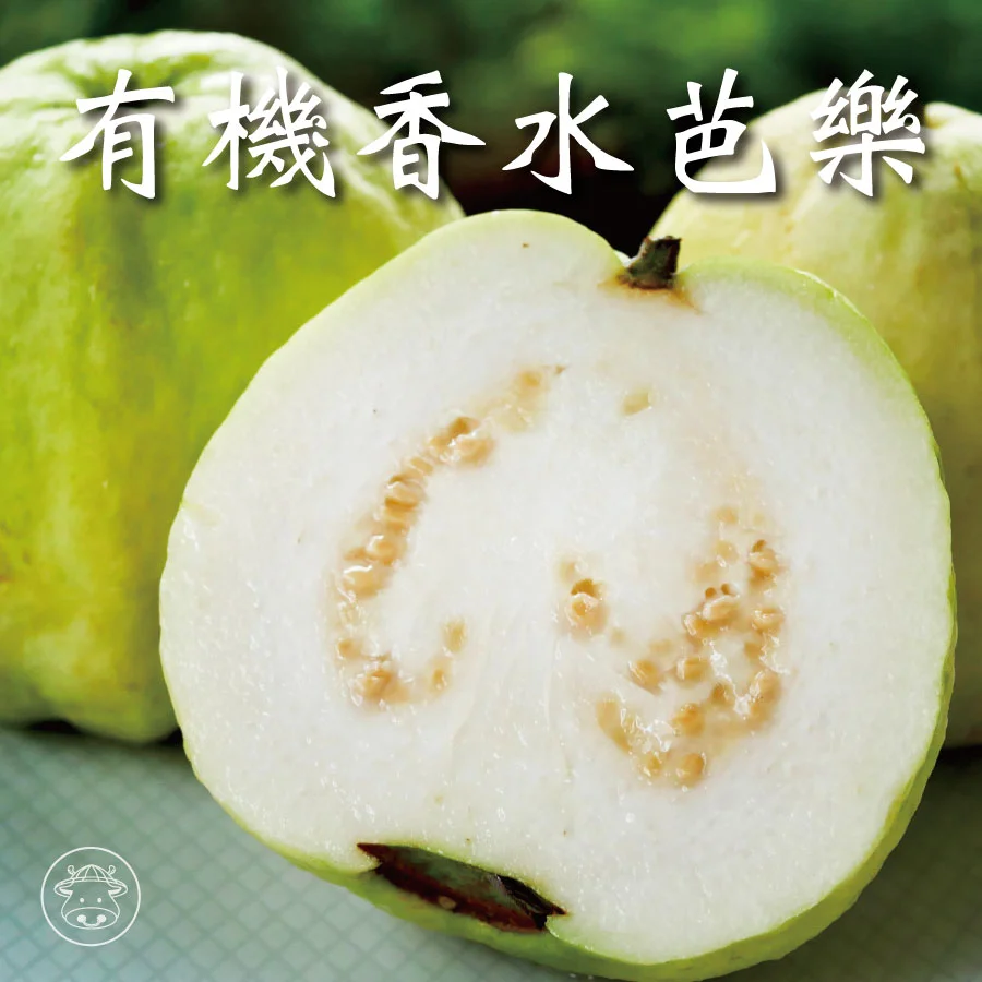 有機芭樂90003
