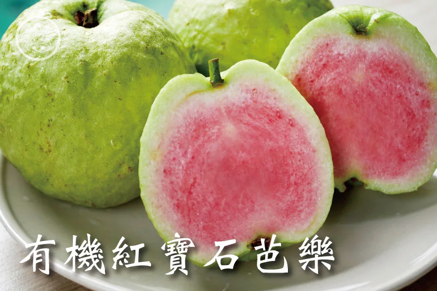 友善種植20年《有機紅寶石芭樂》籽少外脆內軟 1 有機紅寶石芭樂