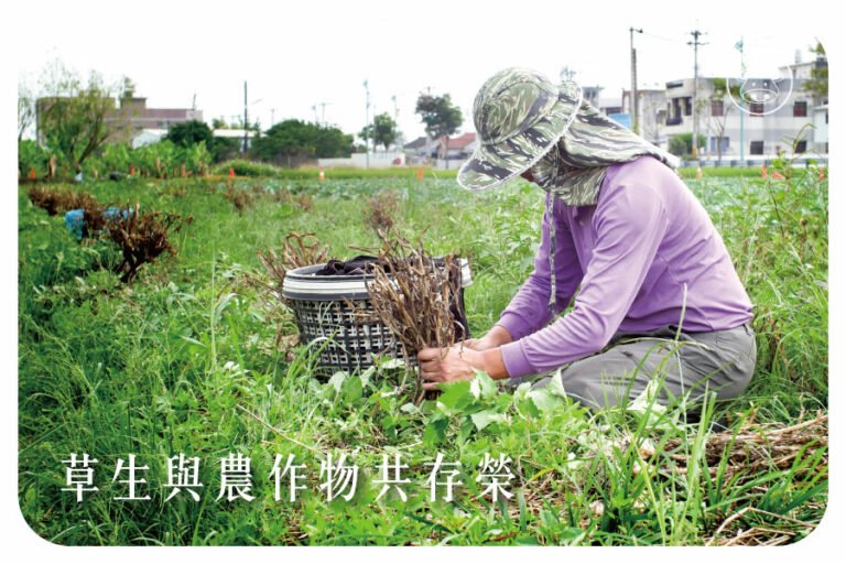 一步一腳實行草生栽培是大自然永續最好的投資