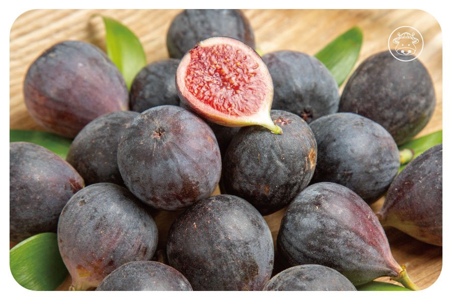 食品添加物新創舉 無花果皮竟可以延長8倍義大利手工麵保存時間 台灣幫棒農