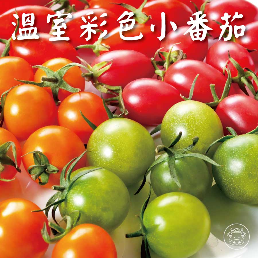 玉女小番茄、彩色小番茄
