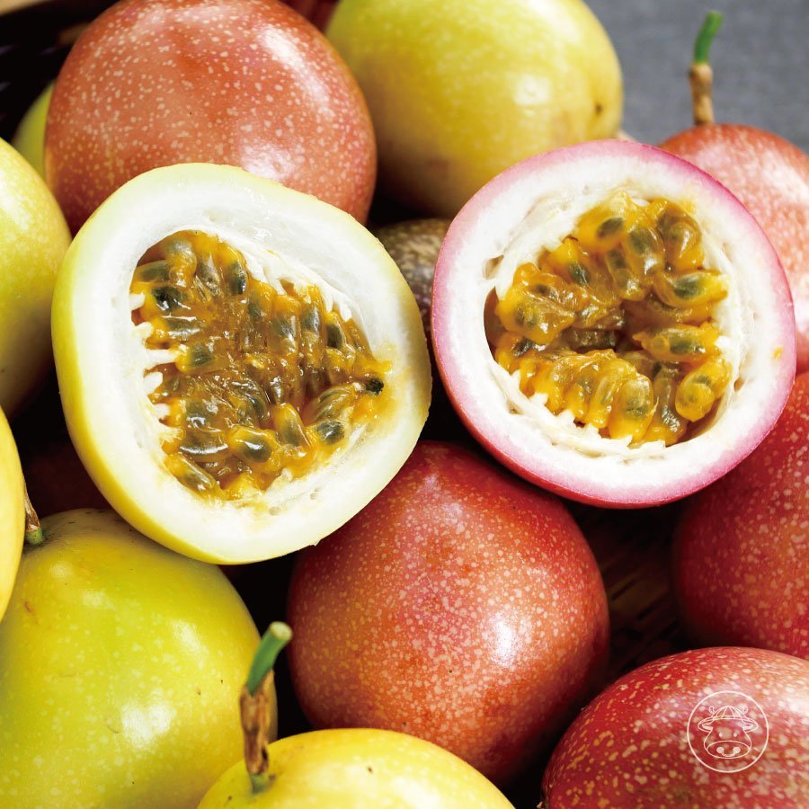 網室種植新社《黃金百香果》稀有品種3種水果風味全吃到帶有迷人的芭樂香氣保證吃3顆以上- 台灣幫棒農