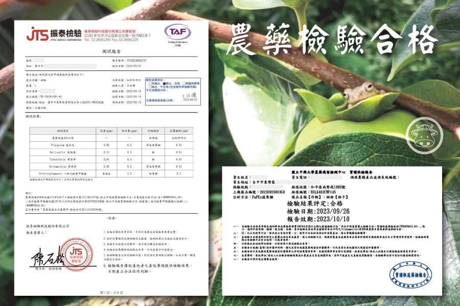 高山甜柿銷售 011