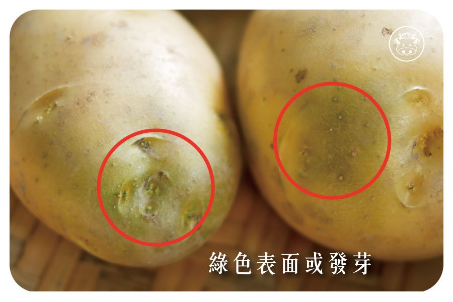 馬鈴薯的疑問：白白的芽點、綠綠的表面與馬鈴薯發芽？綠色表面或發芽：可能含茄鹼（或稱龍葵鹼、茄靈、美茄鹼）影響健康，建議不要食用。