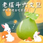 斗六文旦柚子