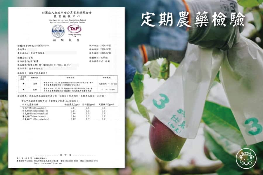 黑糖芒果銷售014