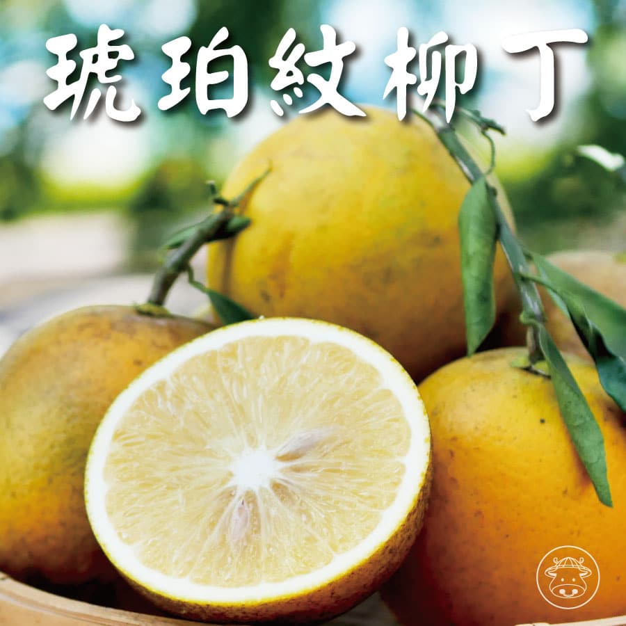 雲林20年老欉《琥珀紋柳丁》原始自然風味，健康又美味- 台灣幫棒農