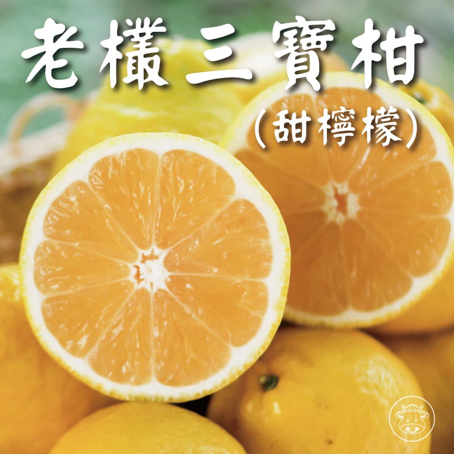高山老欉三寶柑(甜檸檬)1口吃出香甜檸檬清香的橘子 - 台灣幫棒農