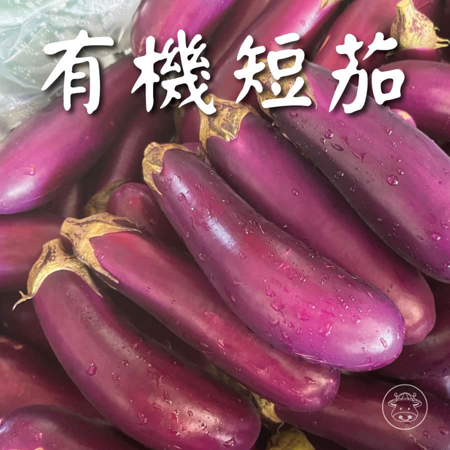 有機短茄