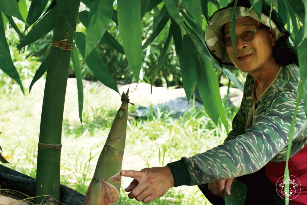 東麻竹筍銷售001