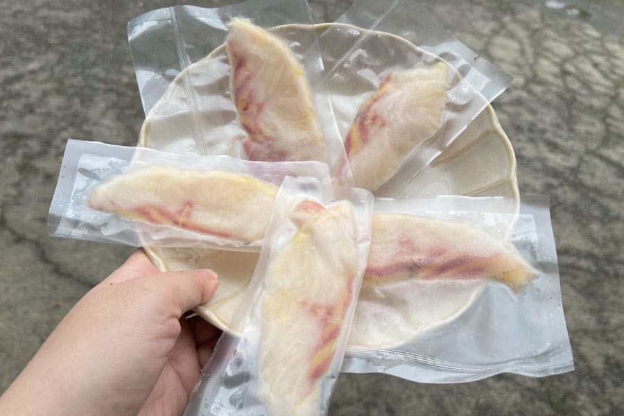鱘龍魚/鱘龍魚子醬/鱘魚子醬/寶寶鱘魚片/寶寶精力湯