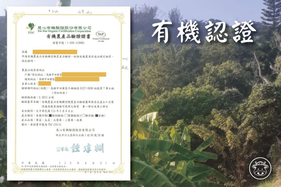 有機芭蕉銷售007 1