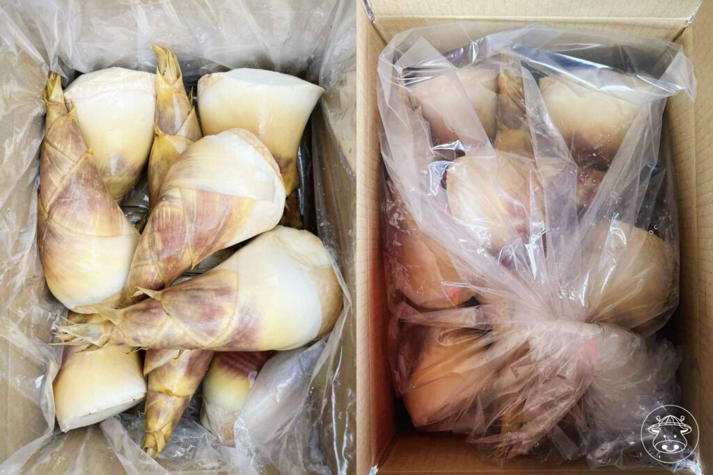 東麻竹筍銷售012