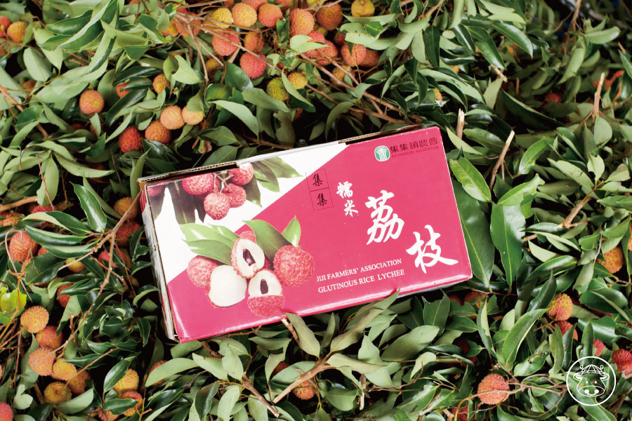 老欉糯米荔枝銷售008