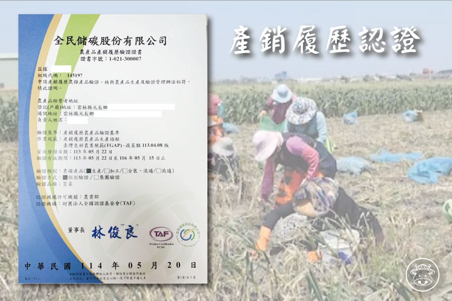 蒜頭2025銷售001
