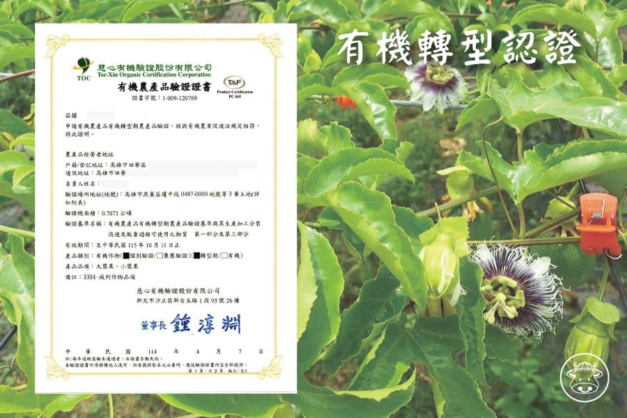 高雄有機傳統百香果銷售007