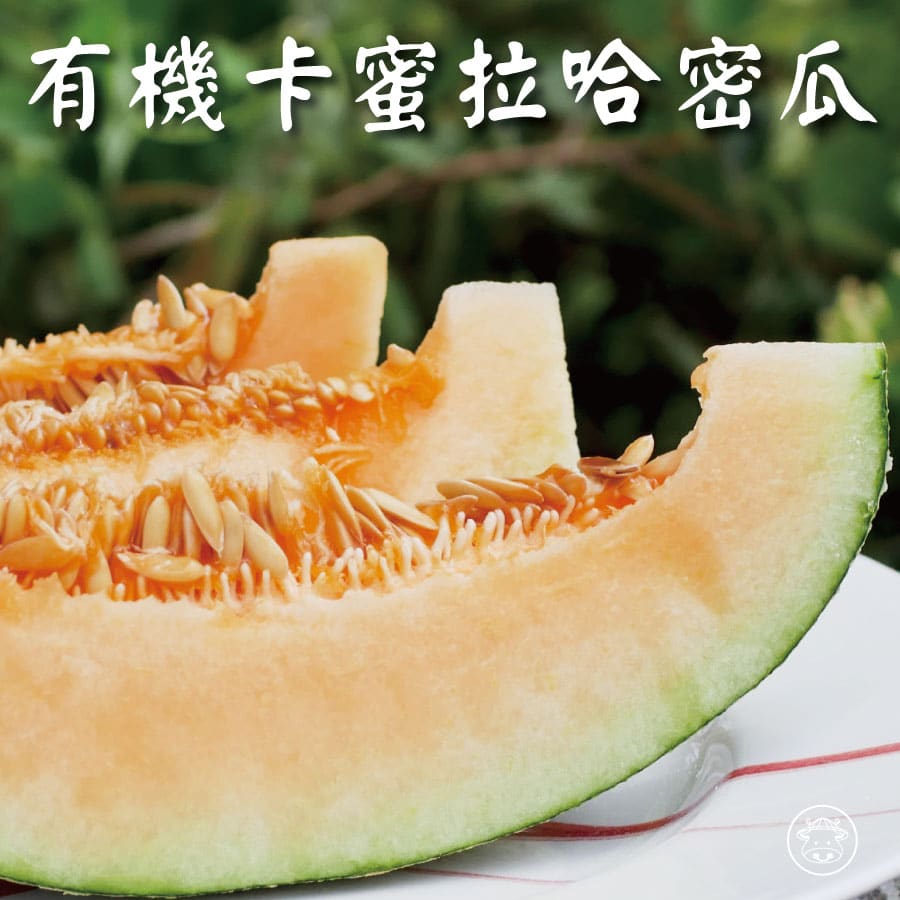 有機卡蜜拉哈密瓜