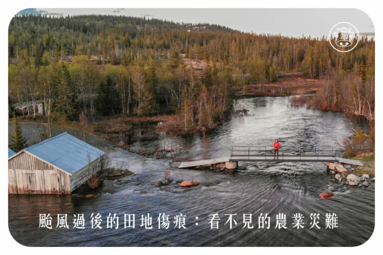 颱風過後的田地傷痕：看不見的農業災害