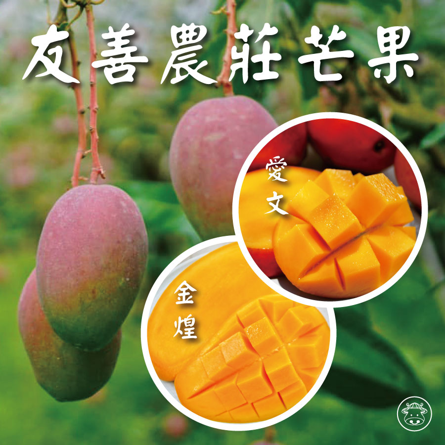 愛文芒果/金煌芒果