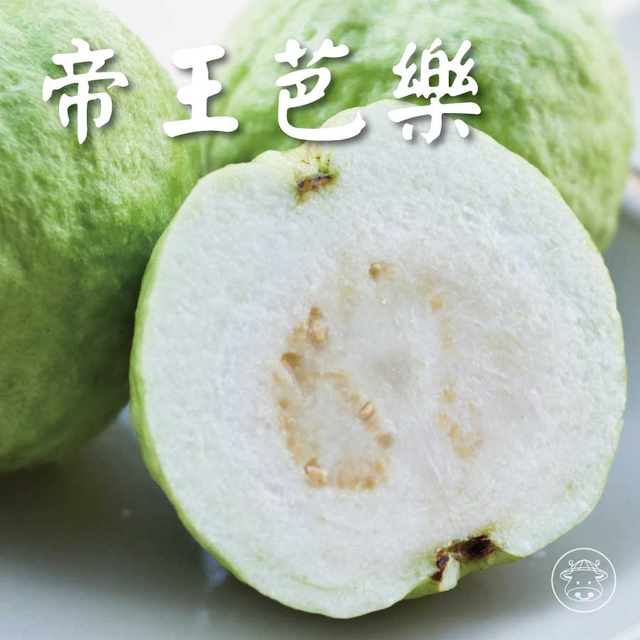帝王芭樂