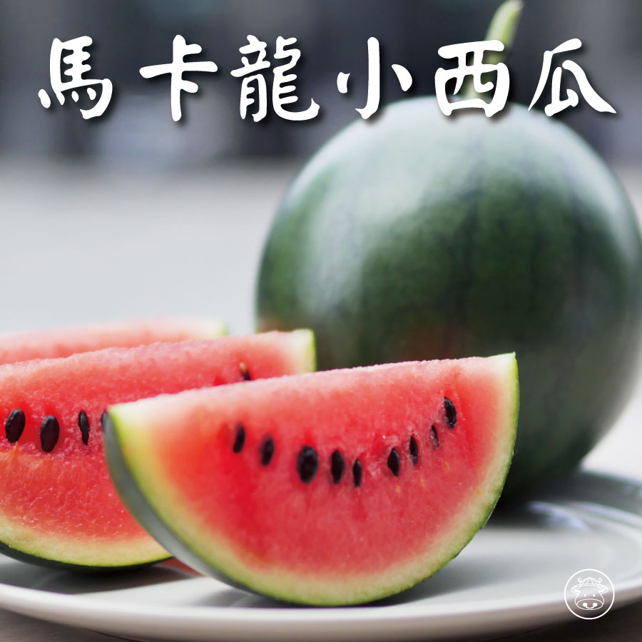馬卡龍小西瓜