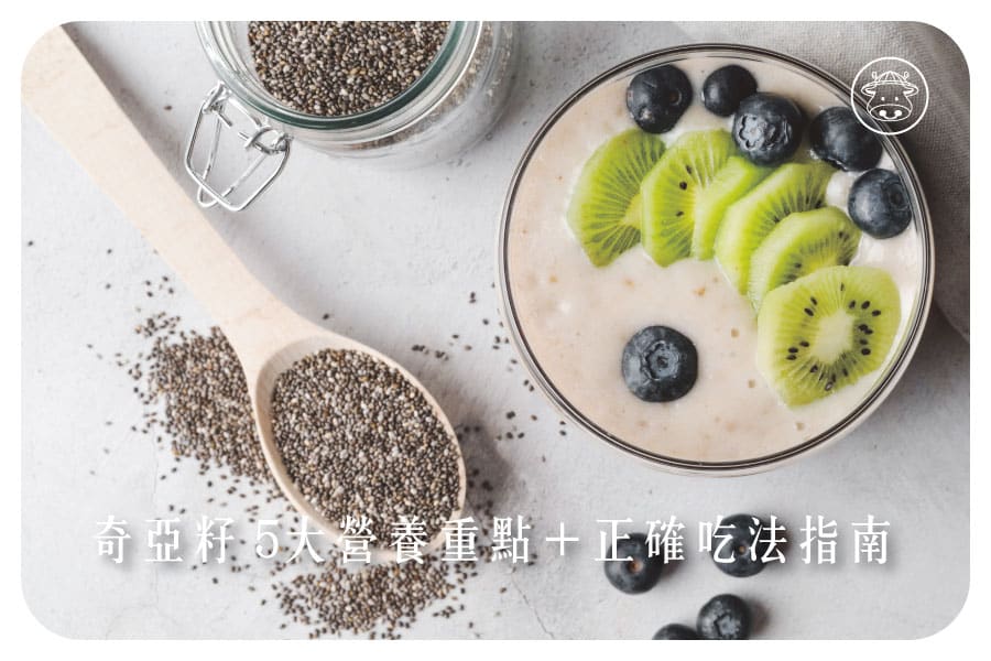 奇亞籽為什麼是超級食物？5大營養重點+正確吃法指南
