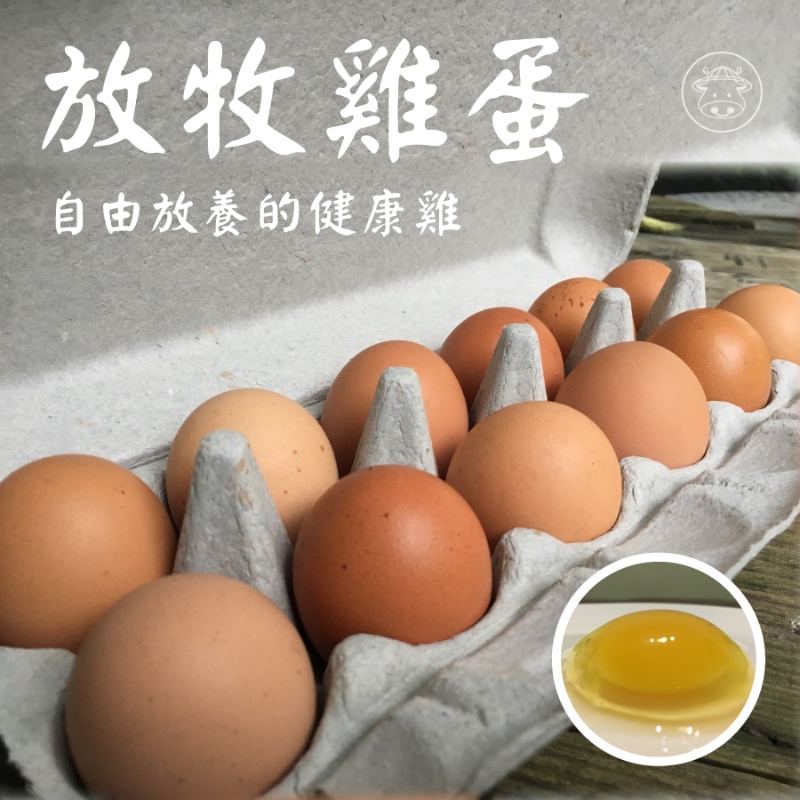 放牧雞蛋