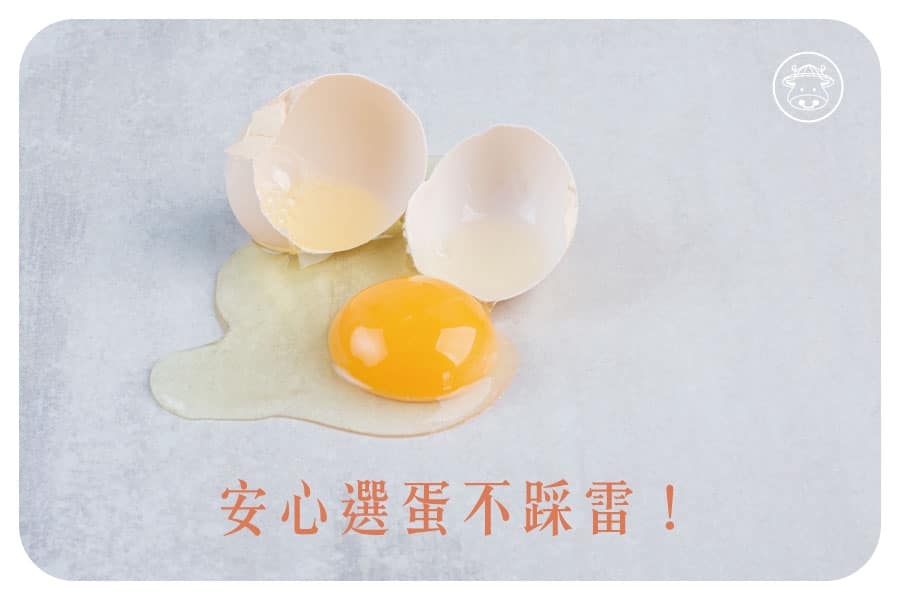 【雞蛋安全懶人包】看懂溯源編碼、認識芬普尼Fipronil，安心選蛋不踩雷！
