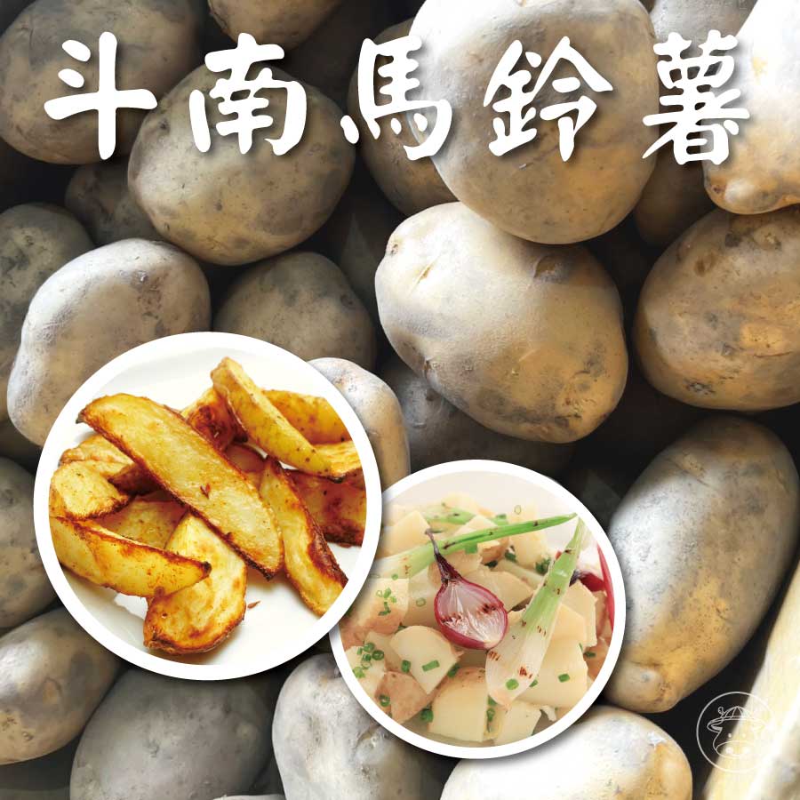 斗南馬鈴薯
