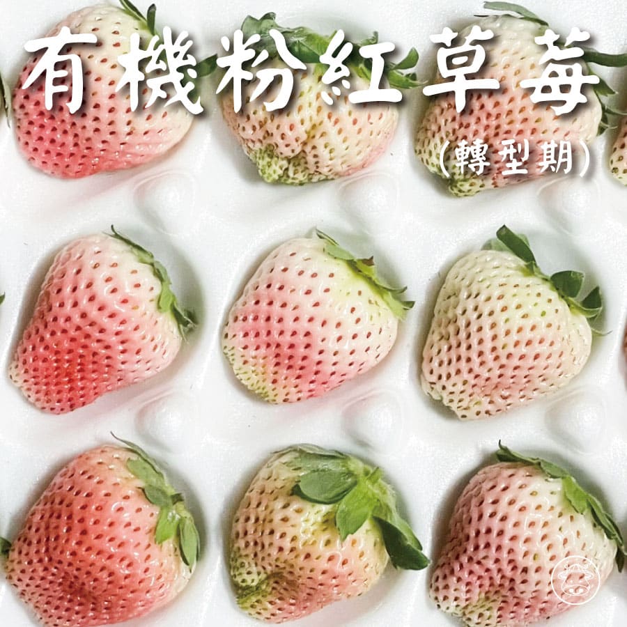 有機草莓/粉紅草莓