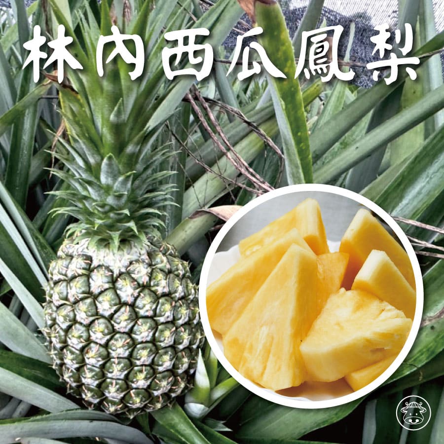 林內金鑽鳳梨/西瓜鳳梨/果乾