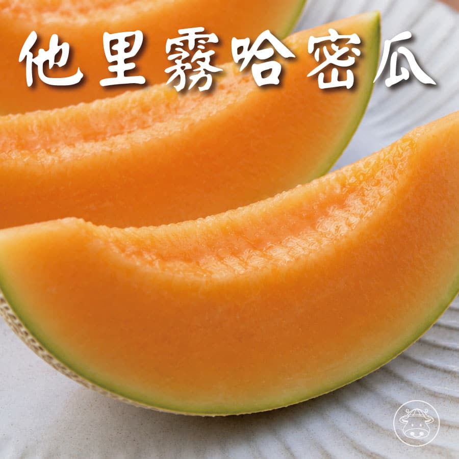 新春香哈密瓜/他里霧橘肉網紋哈密瓜