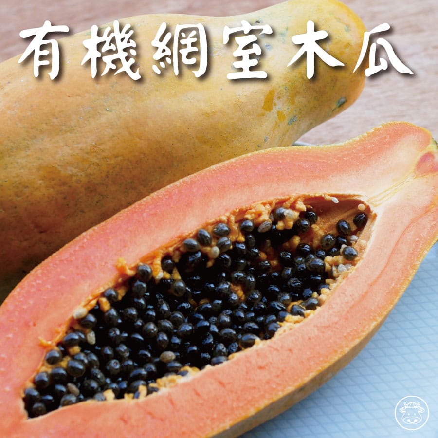 網室木瓜/有機木瓜/台農2號