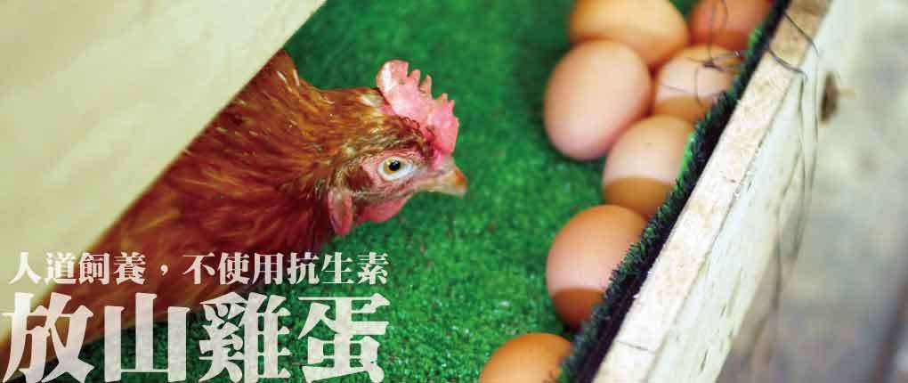 當季優質農產 4 放山雞蛋 人道飼養 雞蛋