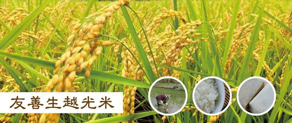 當季優質農產 3 rfhf001